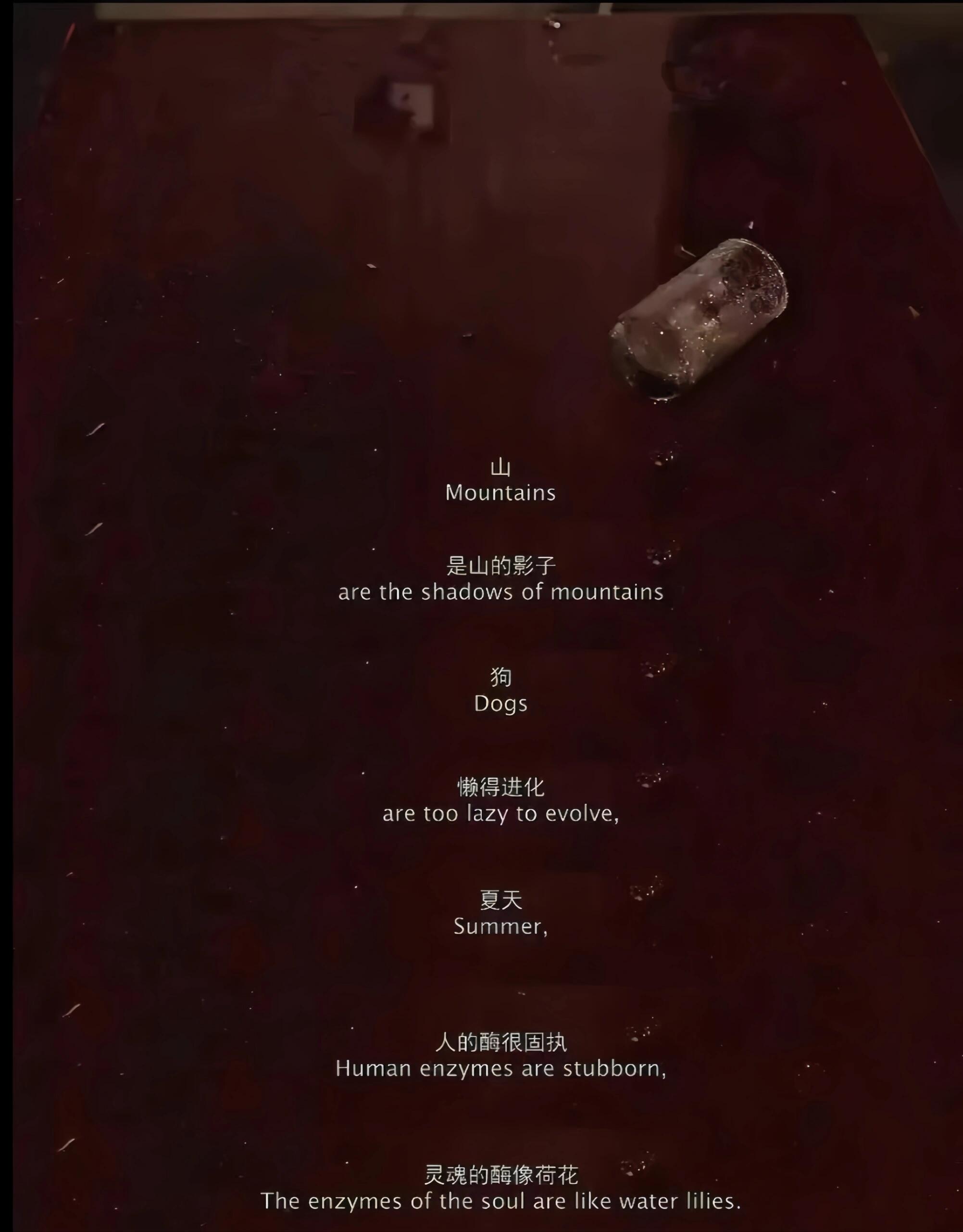 失落才是人生的底色