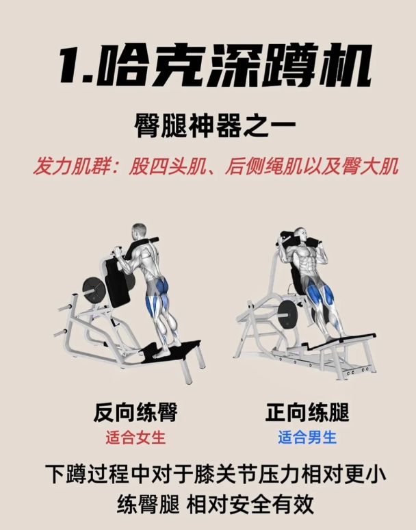 健身房需要练的臀腿器械有哪些，其实很多人都不太清楚，建议收藏！