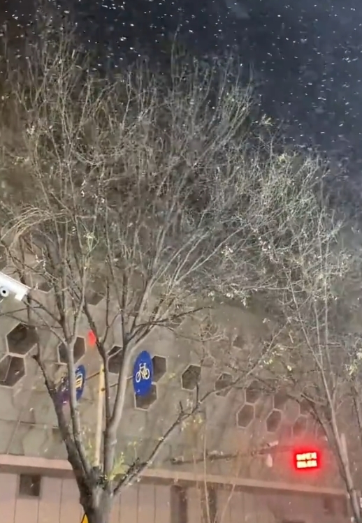 很突然，北京下雪了！好大的雪纷纷扬扬。此刻的你那里下雪了吗？期待你的分享。 