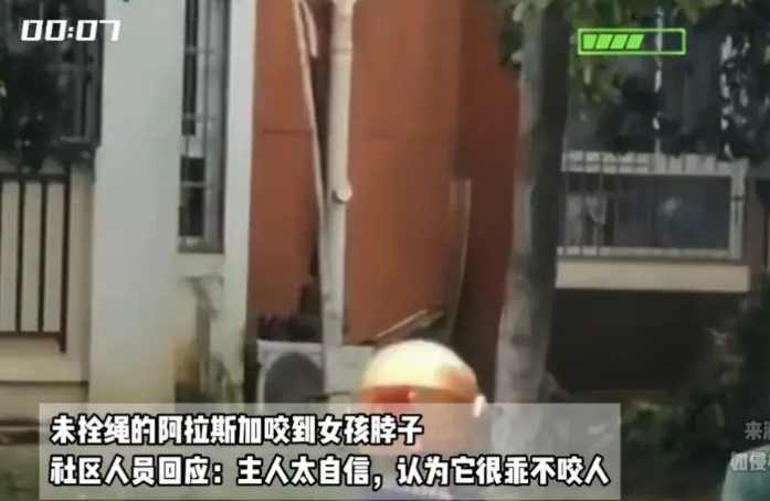 早上一睁眼，看到两条”恶狗伤人事件”除了愤怒，还是愤怒！立法多少年了，遛狗必须栓