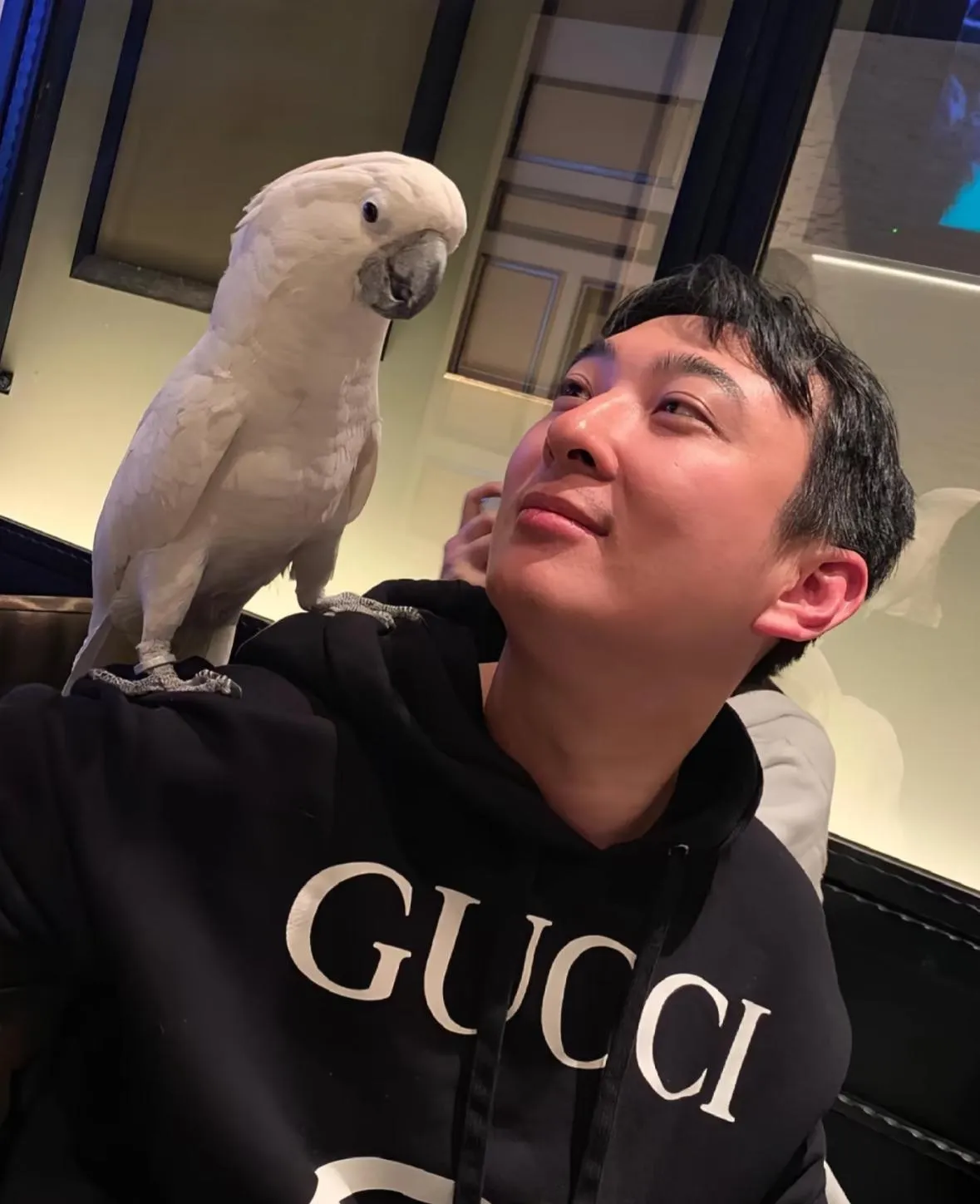 王思聪有一天会败光家产吗？答案是，如果他继续这样吃喝玩乐，安于现状，，想败光家产