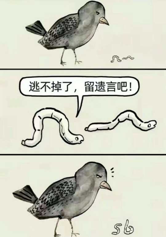哈哈哈，可以