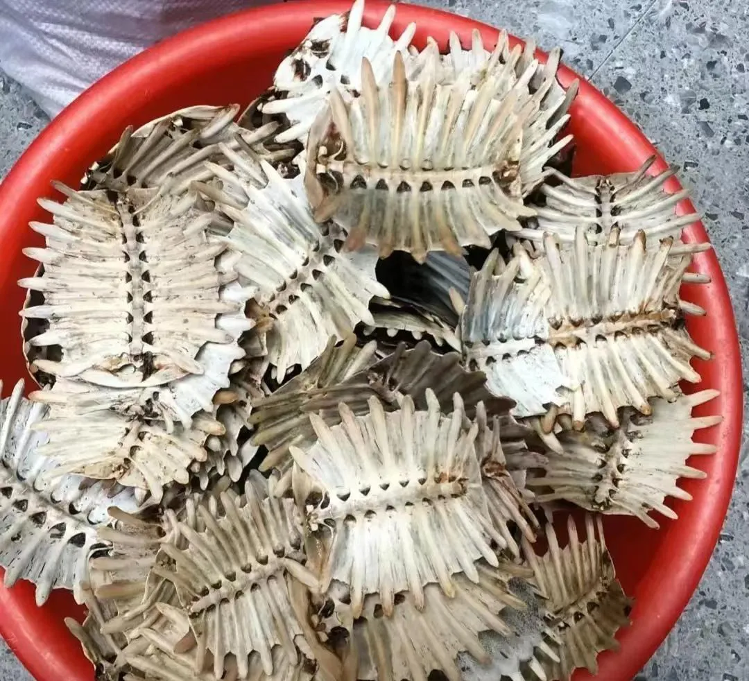 公公每次去吃酒席的时候，都会去别人的桌上捡这东西，看现在都攒了有一盆了，我也不知