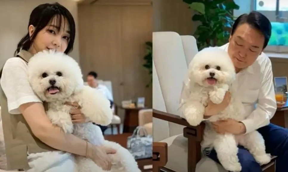 尹锡悦真是欲哭无泪