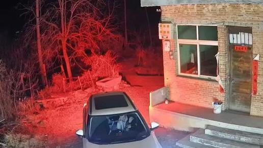 全网共鸣！父母已离世，男子开车1000多公里回家过年，跪拜后离开