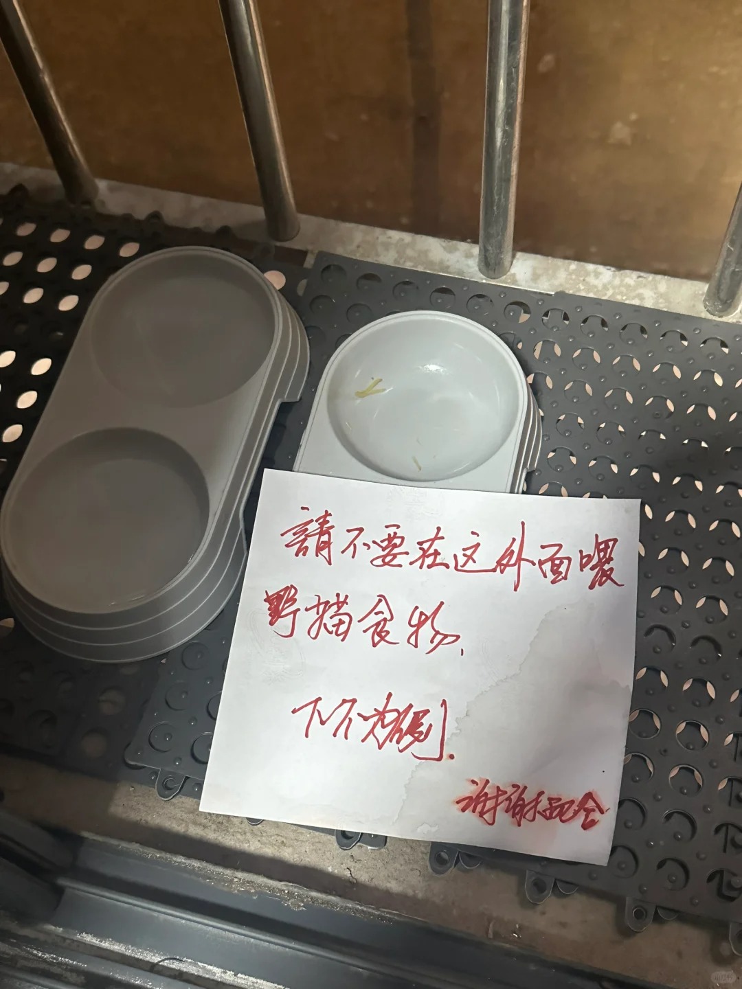 在自家窗台喂流浪猫被送纸条
住一楼，平时有一只小橘猫会过来我家窗台吃饭，我就经常