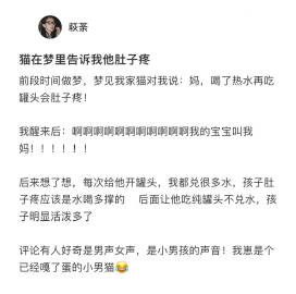 小猫在梦里说它肚子疼