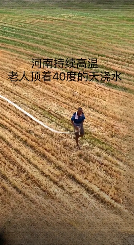 河南大旱，已经持续多日高温无雨，村子里的人都是冒着高温在地理浇地，太干旱了，玉米