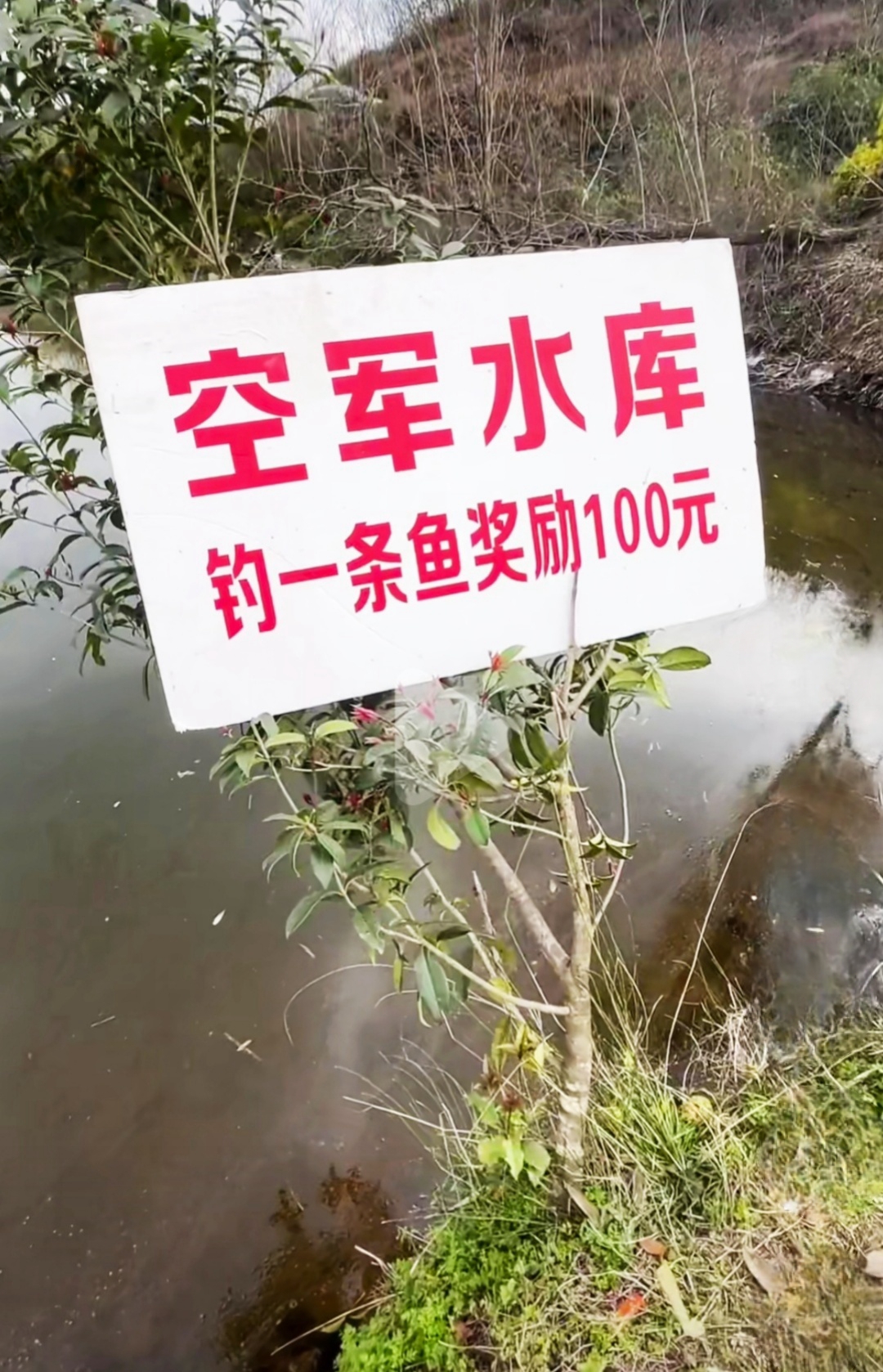 挑战钓鱼人，试问这位老板：啥鱼也算吗？赔不死你才怪！