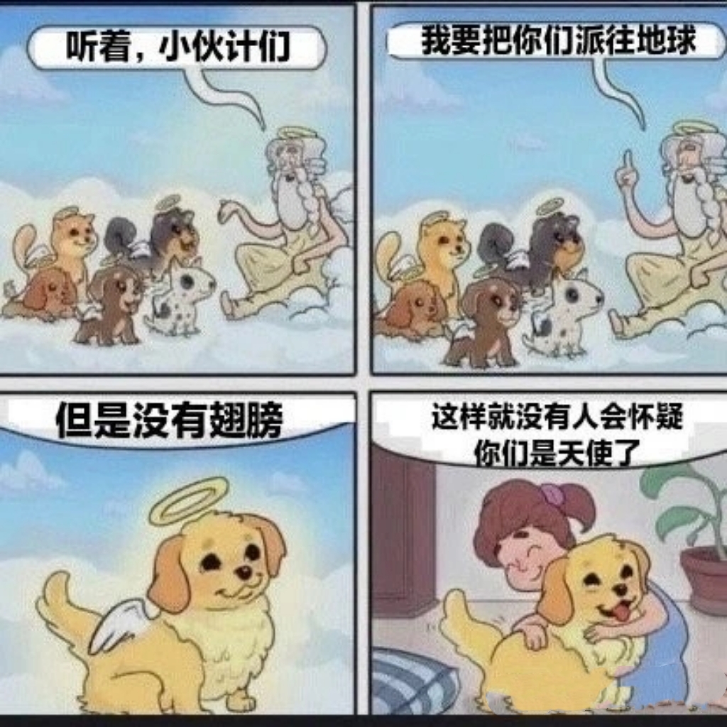 这样就没有人怀疑了