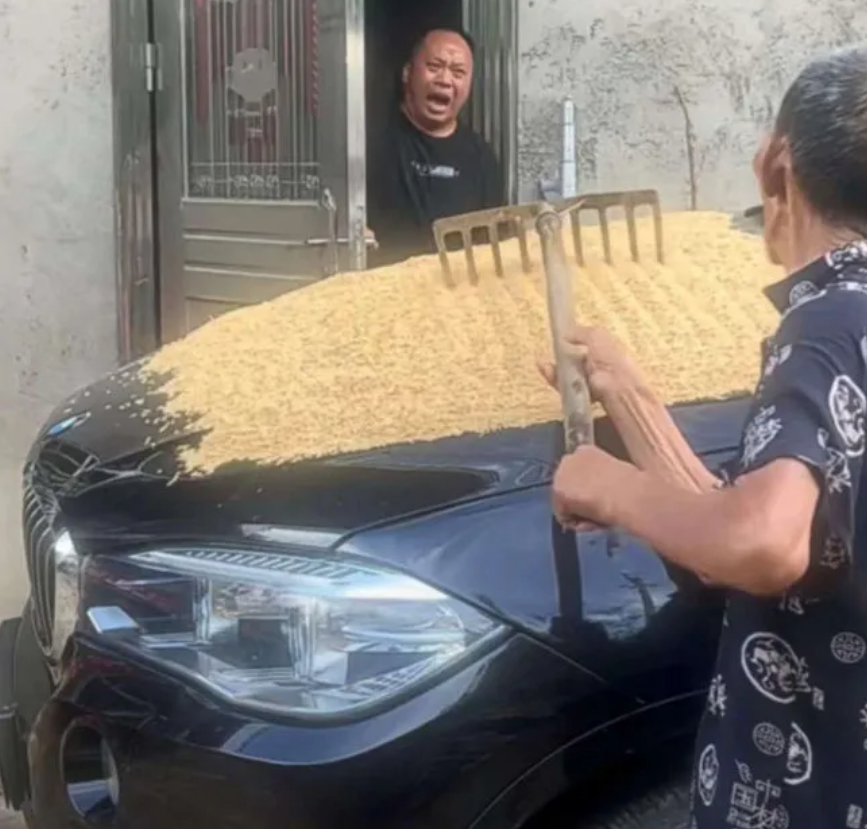 看父亲一把年纪了还在晒谷，儿子发出了撕心裂肺的叫声