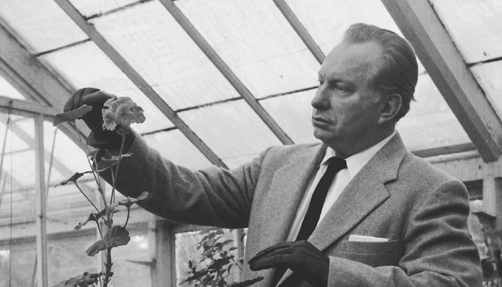 “科学之光”背后的家庭暗夜：Robert谋杀案真相