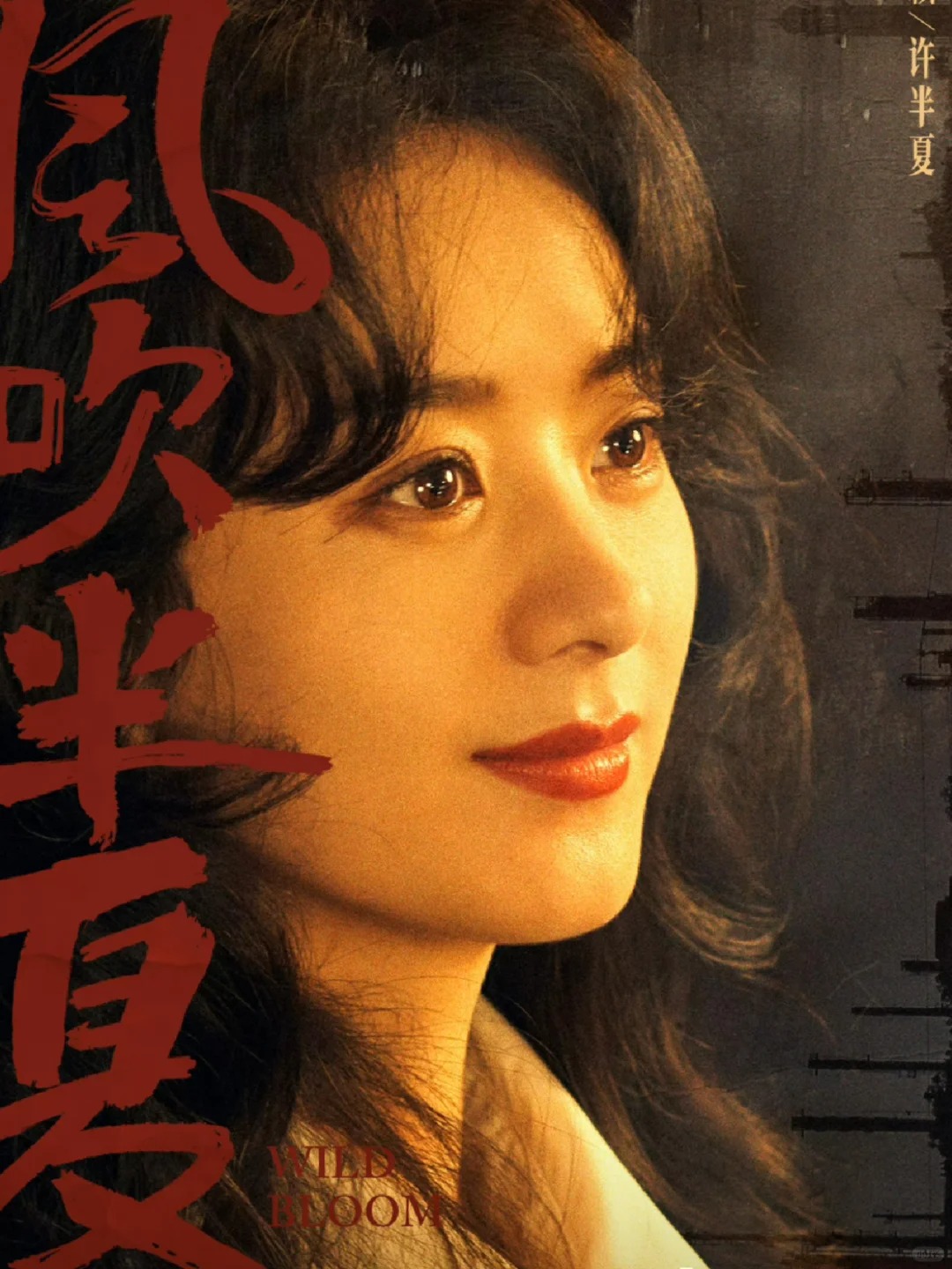 年代情感大戏，带你领略商海浮沉与人生百态