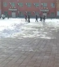 今天全体教师到学校除雪，有六七个女老师路远未到，但都委托保安师傅雇了人。来的这些