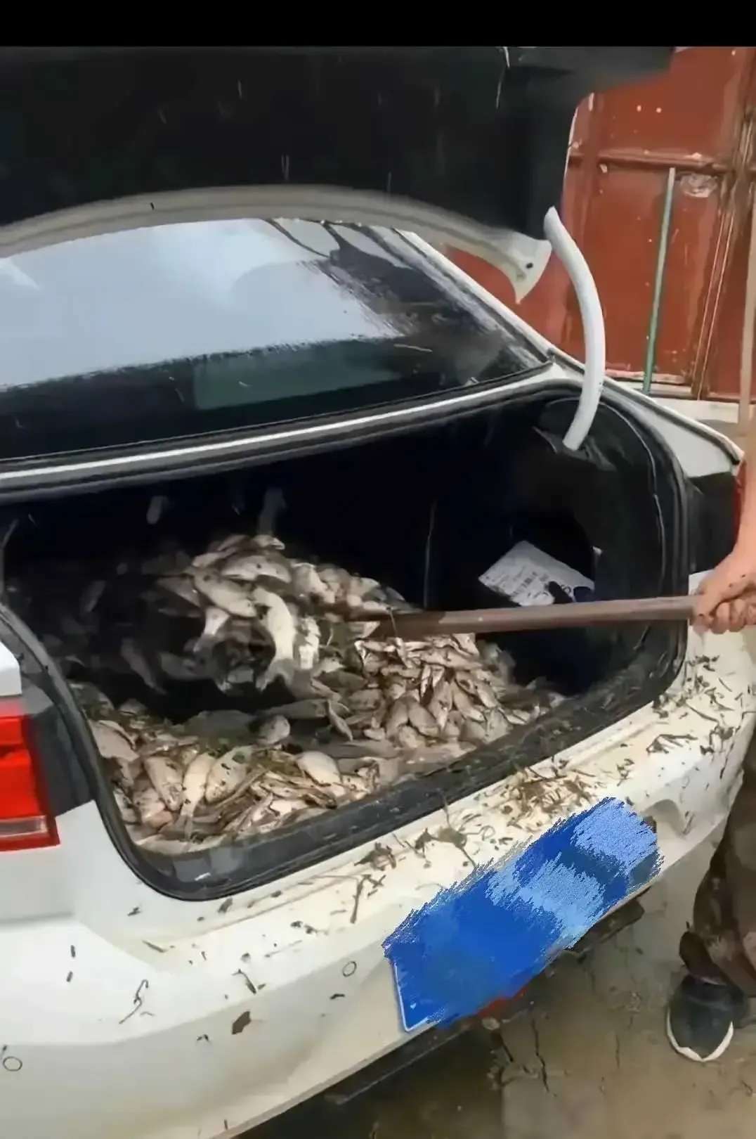 这车还能坐吗？
