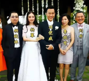 杨幂出嫁时公公和爸爸的表情亮了，一个笑的合不拢嘴，一个难过的撇着嘴。大家怎么看?