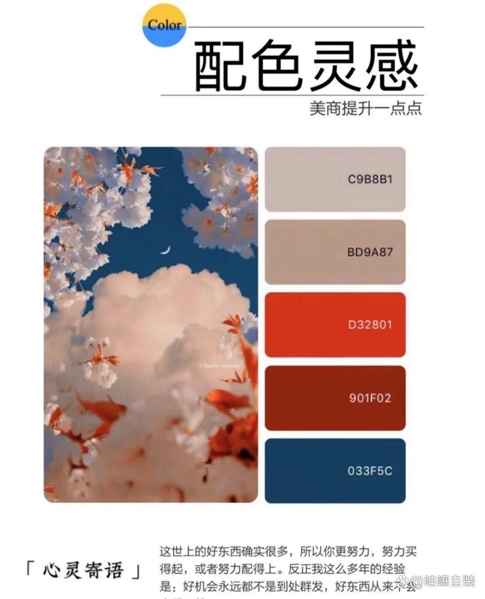 ◆配色灵感