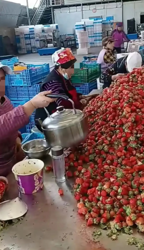 这样的工作餐一定很干净！

