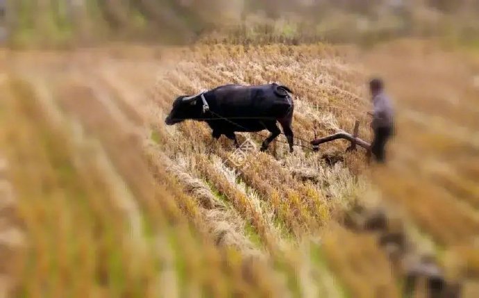 有人建议给农村老人退休待遇