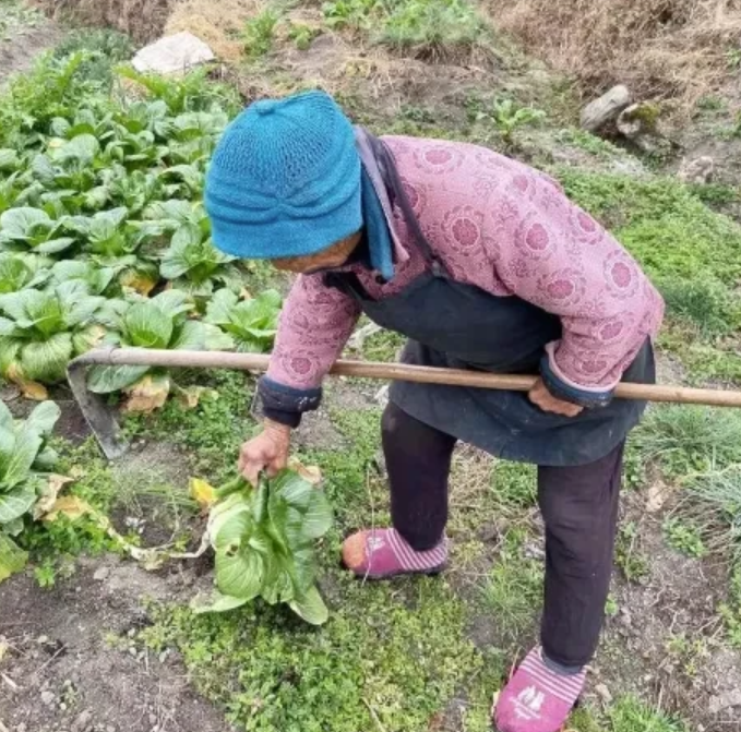 广西桂林，养女尽心尽力照顾重病的养母，直至养母离开人世，养母离开之后她非常伤心，