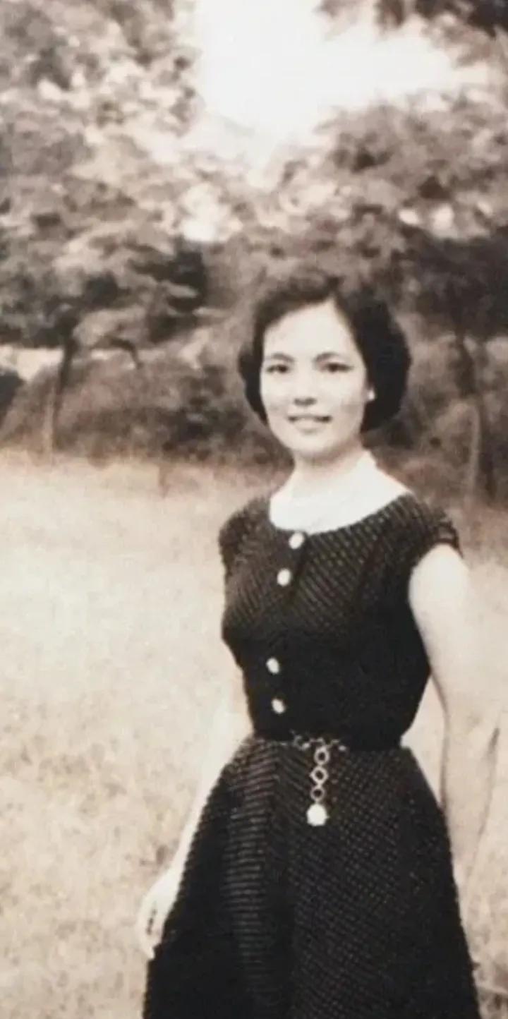平家儿女还是希望平鑫涛跟林婉珍在一起，但是林婉珍内心充满苦处，《往事浮光》中的描