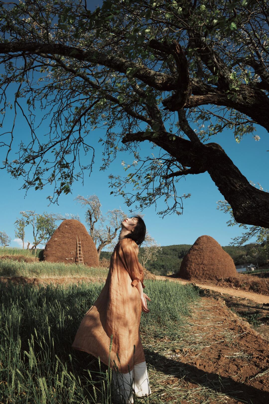 乡土中国3｜散落远方的春天