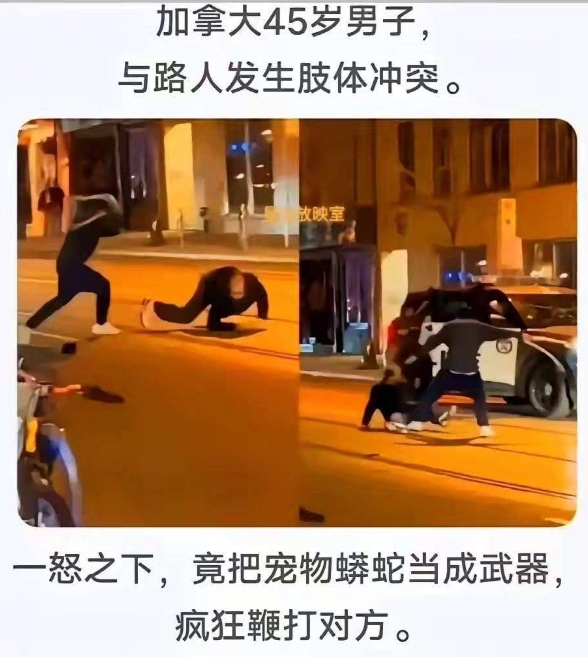 get到一个蛇年专属武器