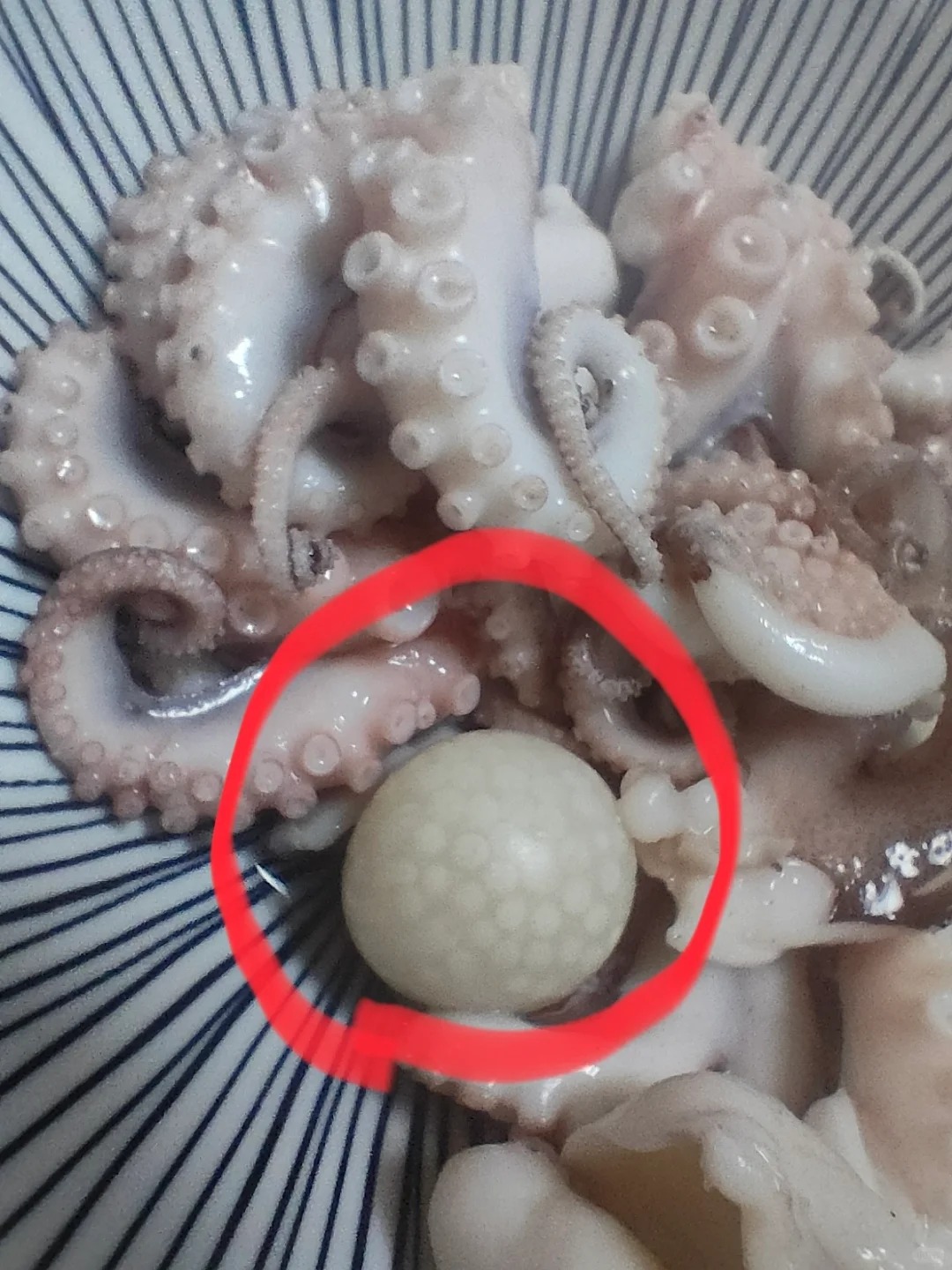 这是啥玩意啊？有毒吗？
菜市场买了点章鱼，烫了一下这玩意鼓成球，里面还有小点点，