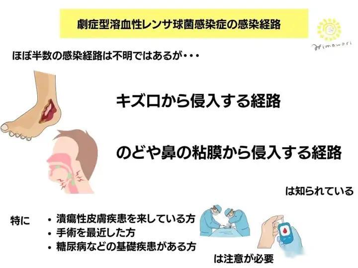 病菌的变异：食人菌已经发生变异，可能增强了其传播能力和致病性，使得更多人容易感染