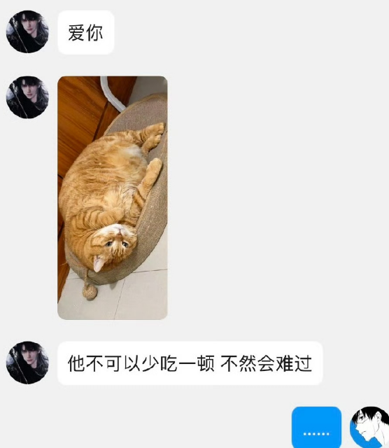 这猫也太肥了吧