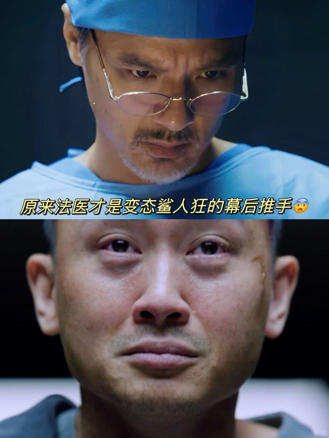 太阳星辰：细思极恐，鲨人最容易的原来是法医