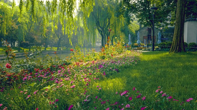 那年我和母亲去给姥姥送肉，姥姥不愿意见我们，躲在堂屋哭了半晌