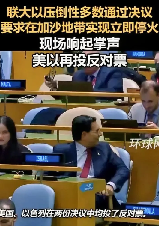 决议通过了，大家向巴勒斯坦代表祝贺！