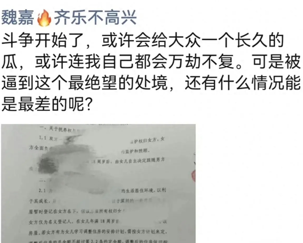 5月10日，魏嘉爆料高亚麟与孕期出轨事件仍在持续发酵，随着抚养协议曝光，瞬间在网