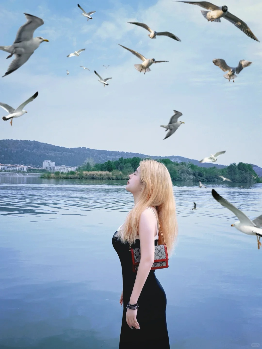 海鸥不再眷恋大海 ོ
可以飞更远～