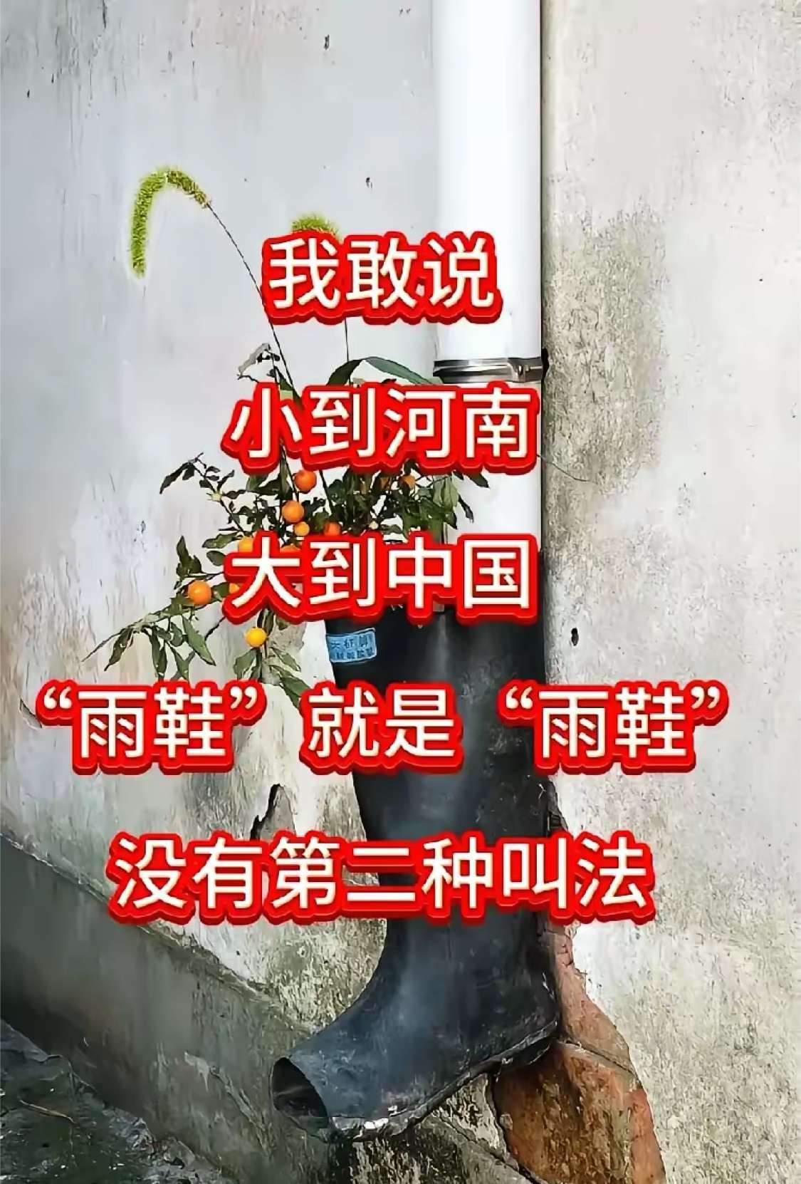 “雨鞋”有没有第二种叫法？