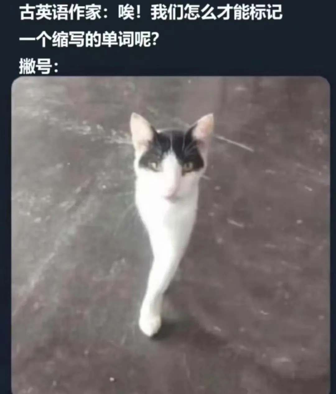 我们怎么才能标记一个缩写的单词呢?