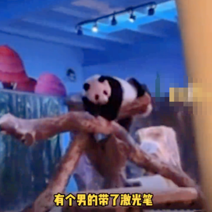 广州这名男子，引发广州人民愤怒！   