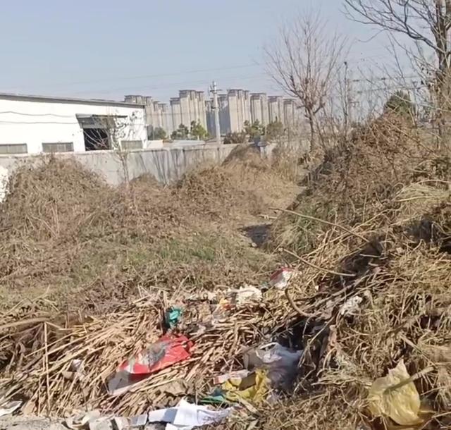 围墙倒塌致人死亡事件追踪：责任认定成焦点