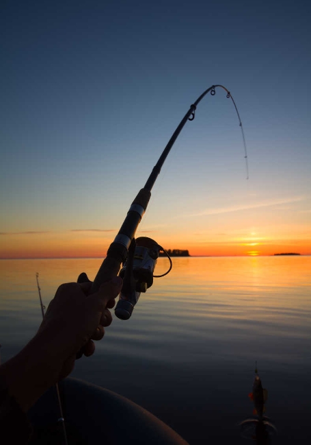 钓鱼项目，但估计很难进入奥运会。

你想啊，钓鱼按钓法来说就能把人整疯，就单说淡