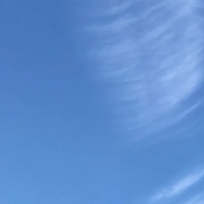 追风的鸟
