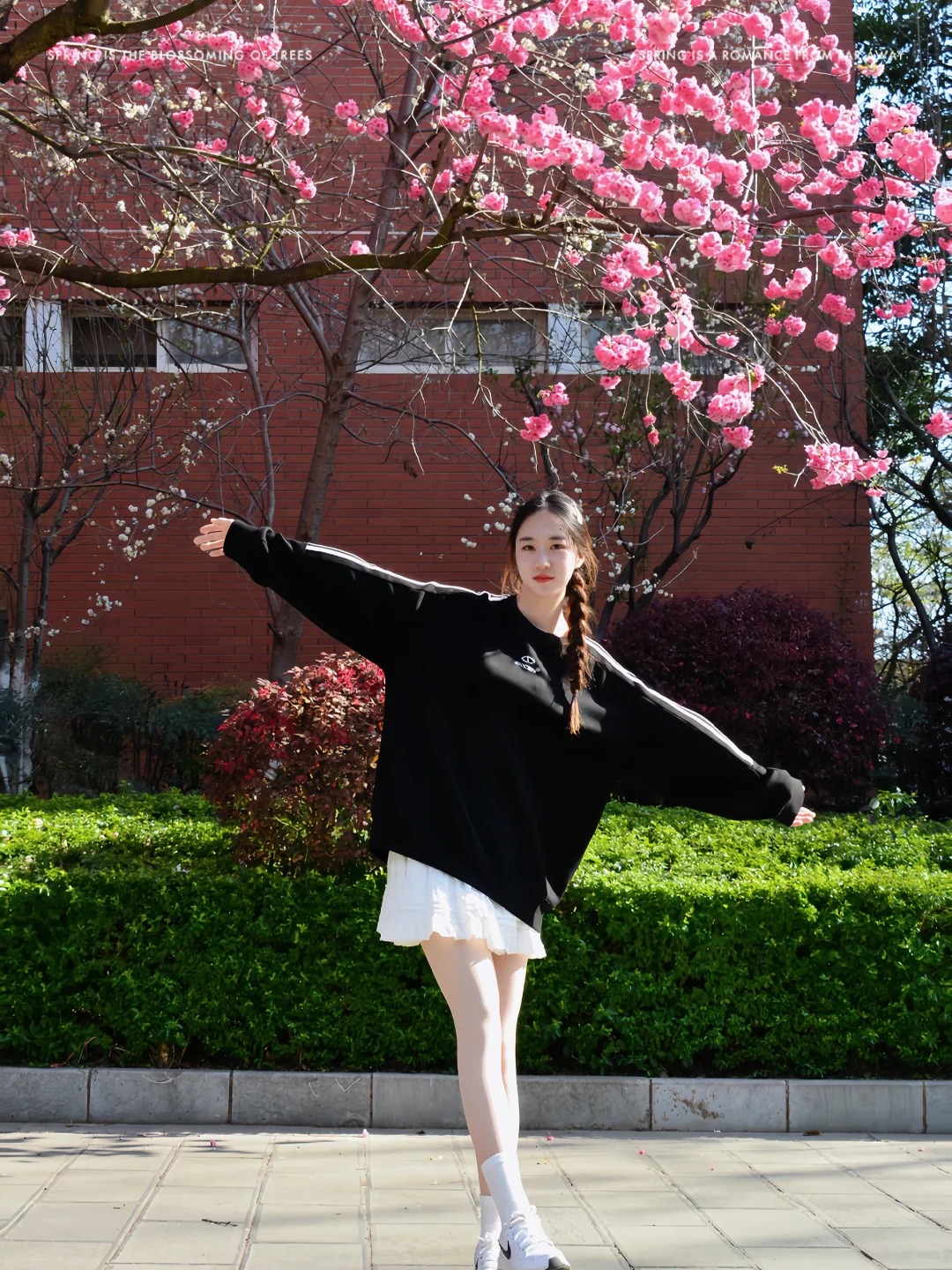 如果可以，想请你看看我镜头下的樱花🌸