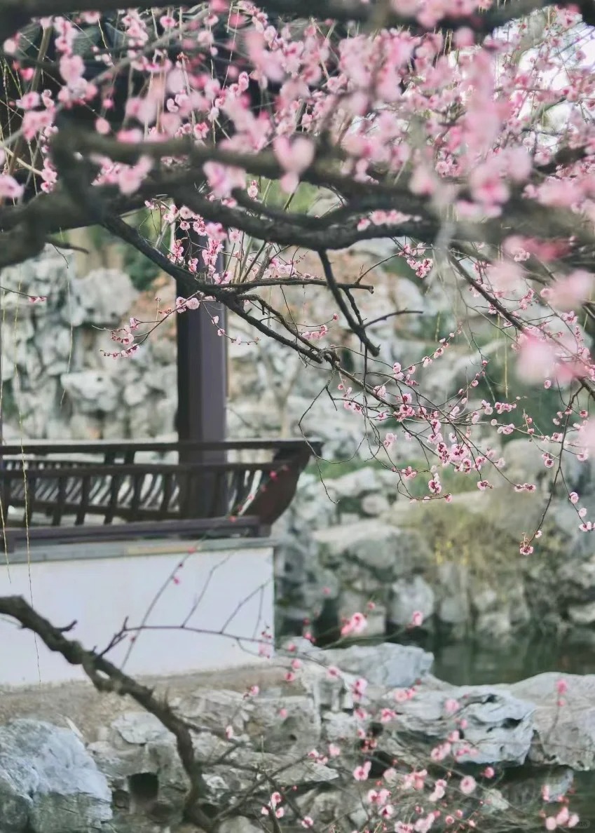 刚从苏州回来 能劝一个是…😥
听劝！3-5🈷️一定要来趟苏州，这篇攻略先收好