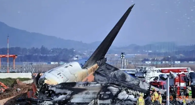 最新消息！韩国遇难飞机事件，有三个细节让人毛骨悚然。

第一个细节，跑道上居然有