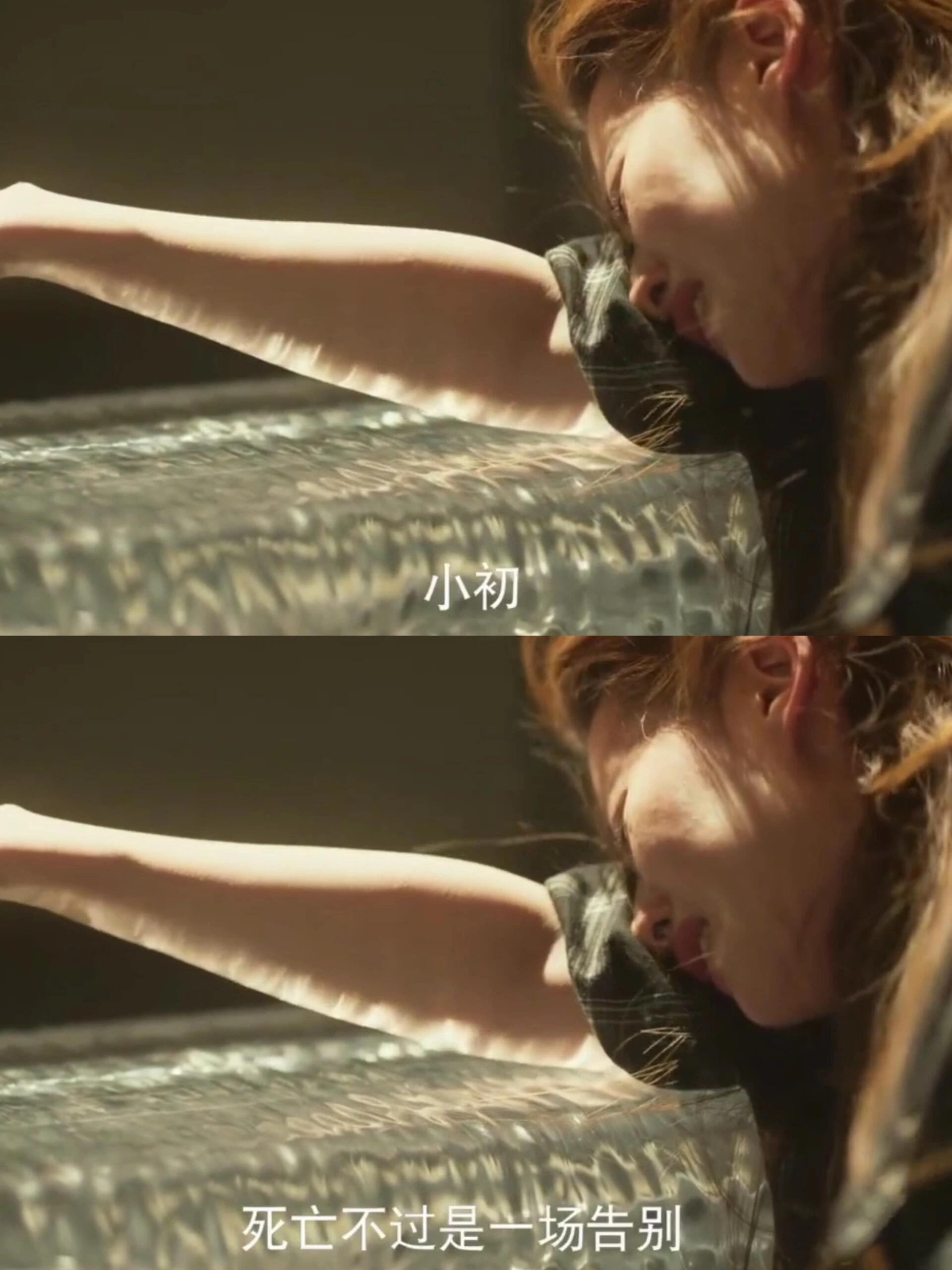 被玫瑰对死亡的理解狠狠惊艳了！