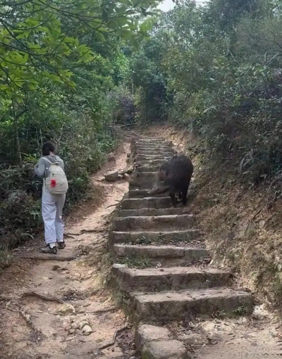在与表姐妹一同攀登山峰时，我遇到了一个难题，该如何是好？
