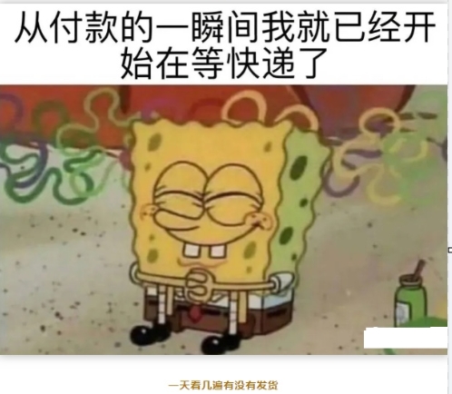 一天看几遍有没有发货