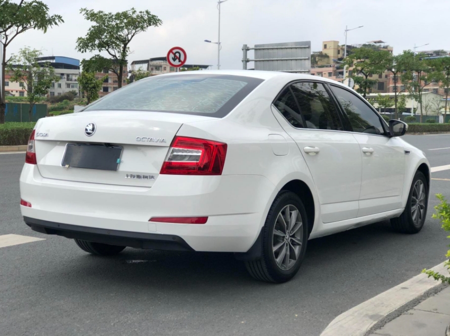 大众汽车的低端车型是最为皮实耐用的，但高端车型后期的养护费用太高。
我之前买的一