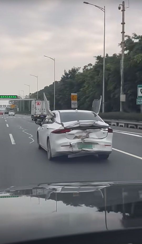 车装上了翅膀是什么概念