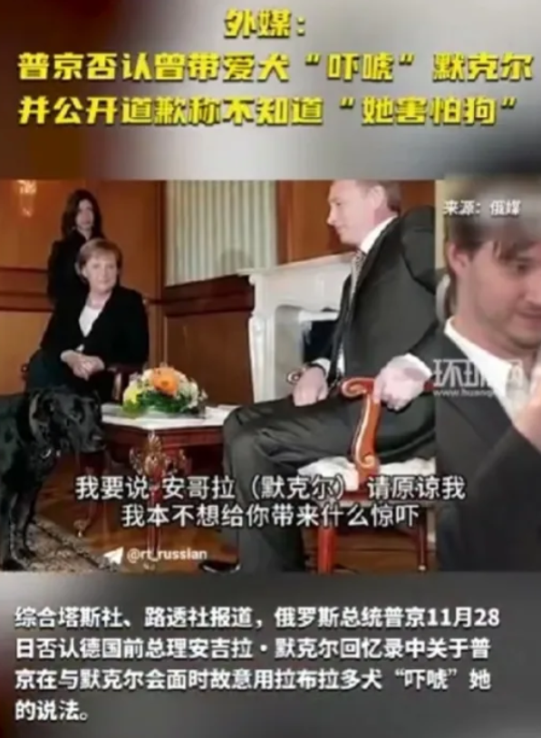 普京急了！赶紧否认曾让爱犬吓唬默克尔！11月28日，俄罗斯总统普京在接受采访时，